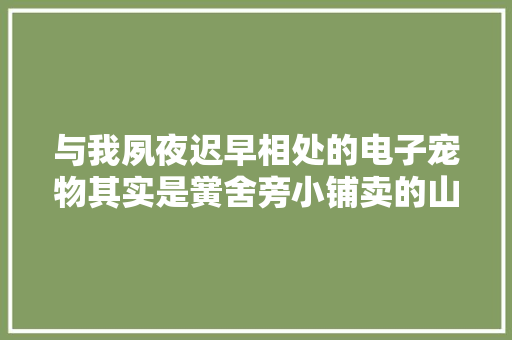 与我夙夜迟早相处的电子宠物其实是黉舍旁小铺卖的山寨货