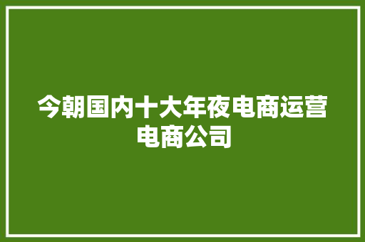 今朝国内十大年夜电商运营电商公司