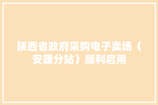 陕西省政府采购电子卖场（安康分站）顺利启用