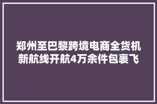 郑州至巴黎跨境电商全货机新航线开航4万余件包裹飞出国