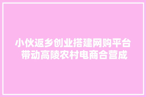 小伙返乡创业搭建网购平台 带动高陵农村电商合营成长