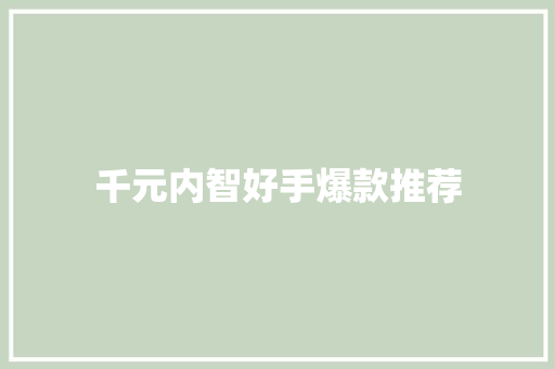 千元内智好手爆款推荐 千元内智好手爆款推荐 智能家居