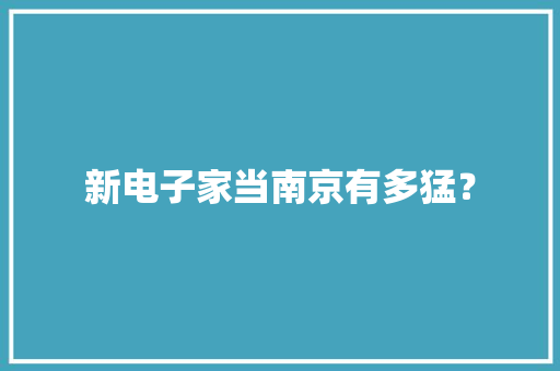 新电子家当南京有多猛？