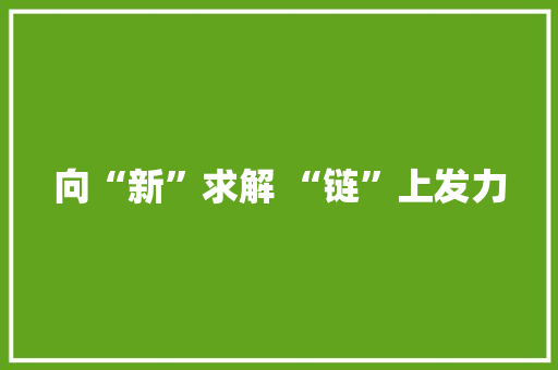 向“新”求解 “链”上发力
