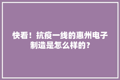 快看！抗疫一线的惠州电子制造是怎么样的？