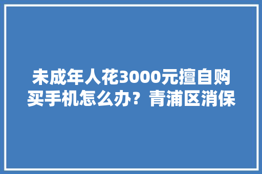 未成年人花3000元擅自购买手机怎么办？青浦区消保委维权助退款｜我为群众办实事