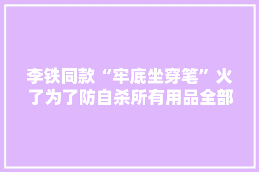 李铁同款“牢底坐穿笔”火了为了防自杀所有用品全部从新设计！
