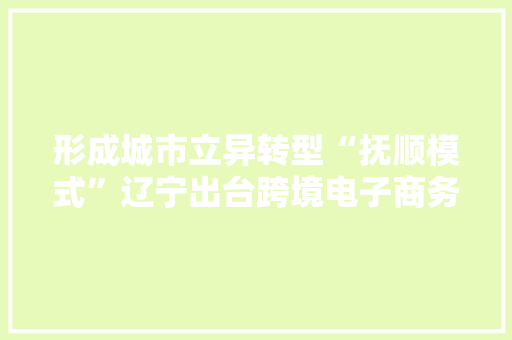 形成城市立异转型“抚顺模式”辽宁出台跨境电子商务综试区筹划