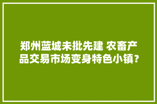 郑州蓝城未批先建 农畜产品交易市场变身特色小镇？