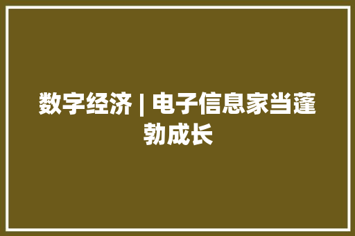 数字经济 | 电子信息家当蓬勃成长
