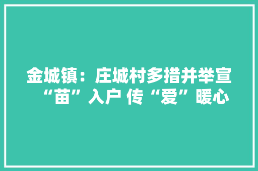 金城镇：庄城村多措并举宣“苗”入户 传“爱”暖心 金城镇：庄城村多措并举宣“苗”入户 传“爱”暖心 互联通信