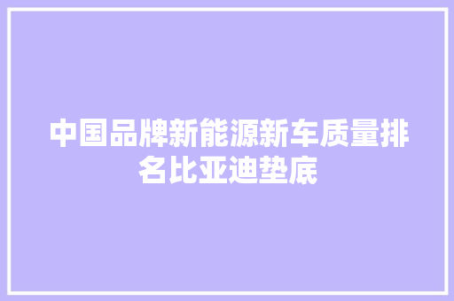 中国品牌新能源新车质量排名比亚迪垫底