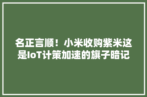 名正言顺！小米收购紫米这是IoT计策加速的旗子暗记？