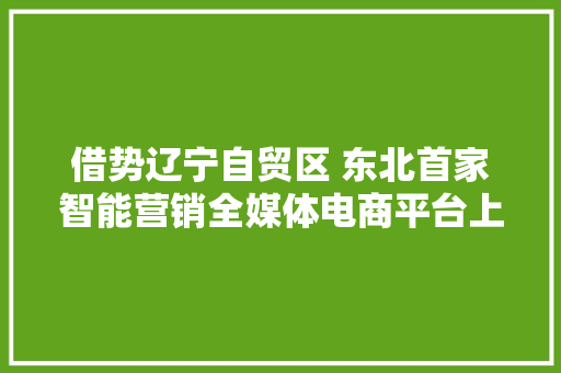 借势辽宁自贸区 东北首家智能营销全媒体电商平台上线