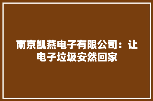 南京凯燕电子有限公司：让电子垃圾安然回家