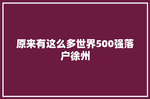 原来有这么多世界500强落户徐州