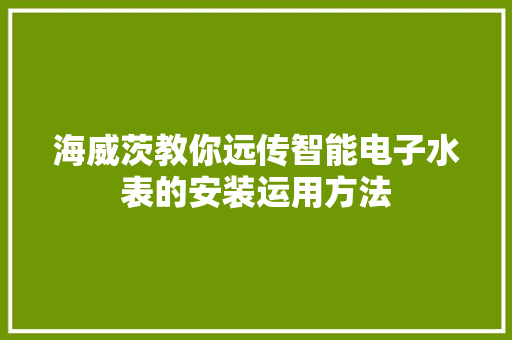 海威茨教你远传智能电子水表的安装运用方法