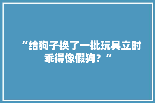 “给狗子换了一批玩具立时乖得像假狗？” 互联通信