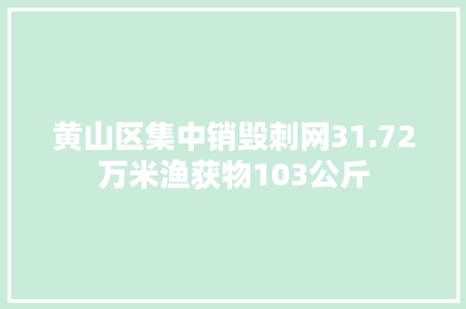 黄山区集中销毁刺网31.72万米渔获物103公斤 黄山区集中销毁刺网31.72万米渔获物103公斤 互联通信