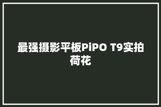 最强摄影平板PiPO T9实拍荷花
