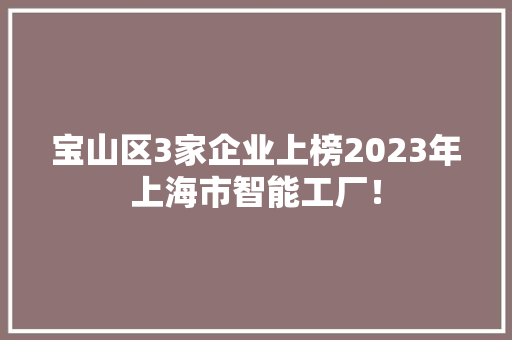 宝山区3家企业上榜2023年上海市智能工厂！