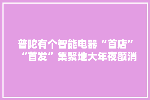 普陀有个智能电器“首店”“首发”集聚地大年夜额消费优惠券免费领
