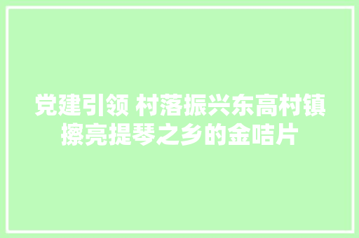 党建引领 村落振兴东高村镇擦亮提琴之乡的金咭片