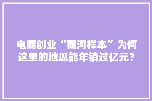 电商创业“商河样本”为何这里的地瓜能年销过亿元？