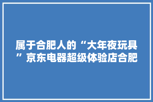 属于合肥人的“大年夜玩具”京东电器超级体验店合肥店来了