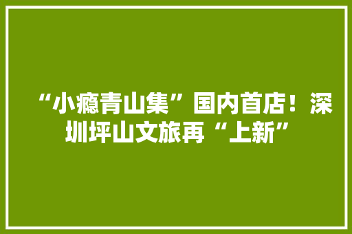 “小瘾青山集”国内首店！深圳坪山文旅再“上新”