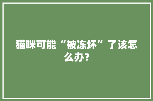 猫咪可能“被冻坏”了该怎么办？