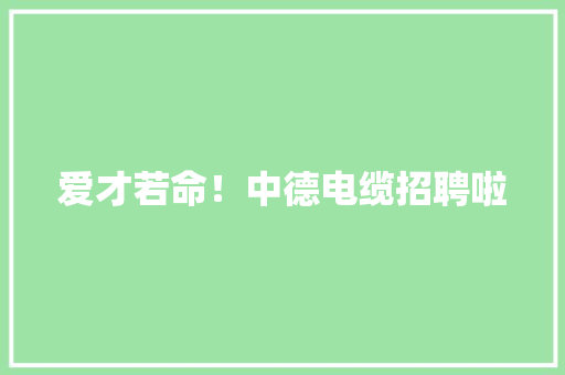 爱才若命！中德电缆招聘啦