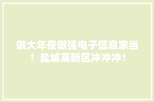 做大年夜做强电子信息家当！盐城高新区冲冲冲！