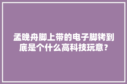孟晚舟脚上带的电子脚铐到底是个什么高科技玩意？ 孟晚舟脚上带的电子脚铐到底是个什么高科技玩意？ 互联通信