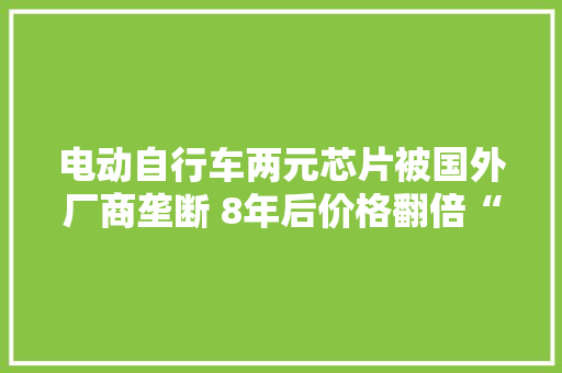 电动自行车两元芯片被国外厂商垄断 8年后价格翻倍“芯”事仍未了
