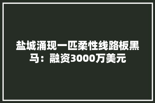 盐城涌现一匹柔性线路板黑马：融资3000万美元
