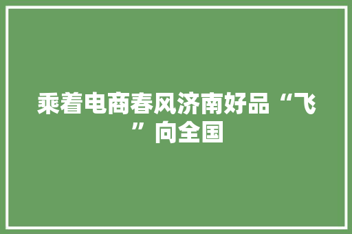 乘着电商春风济南好品“飞”向全国