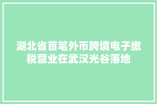 湖北省首笔外币跨境电子缴税营业在武汉光谷落地