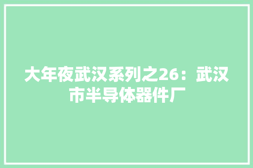 大年夜武汉系列之26：武汉市半导体器件厂