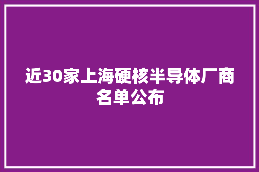 近30家上海硬核半导体厂商名单公布