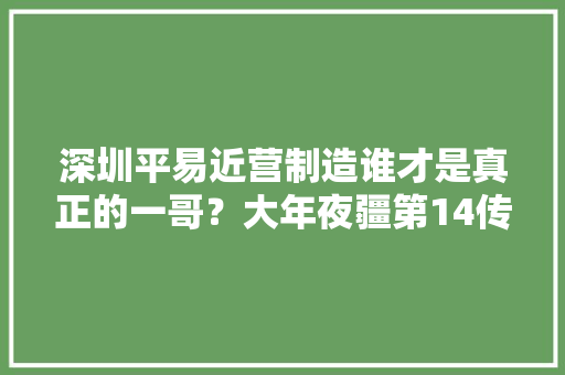 深圳平易近营制造谁才是真正的一哥？大年夜疆第14传音第8华为位居第2