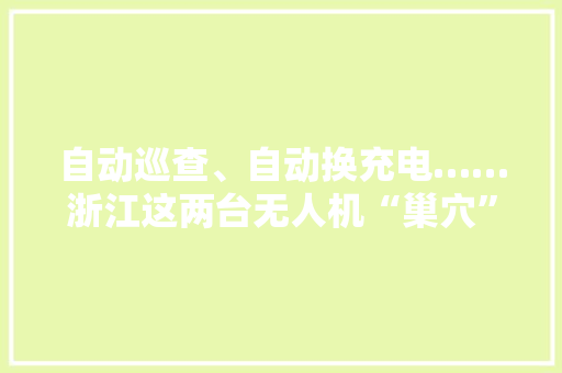自动巡查、自动换充电……浙江这两台无人机“巢穴”派大年夜用途