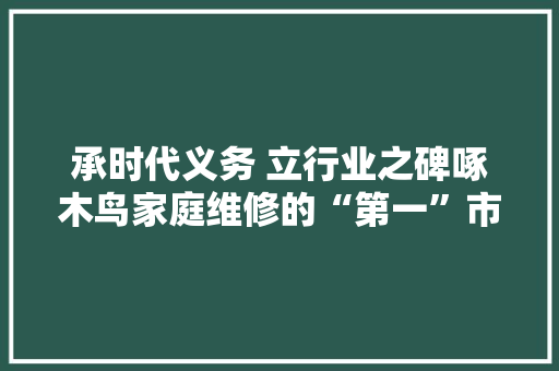承时代义务 立行业之碑啄木鸟家庭维修的“第一”市场定位策略 承时代义务 立行业之碑啄木鸟家庭维修的“第一”市场定位策略 人工智能