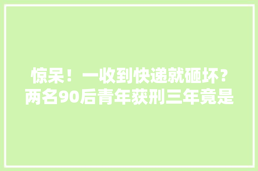 惊呆！一收到快递就砸坏？两名90后青年获刑三年竟是因为它 惊呆！一收到快递就砸坏？两名90后青年获刑三年竟是因为它 智能科技