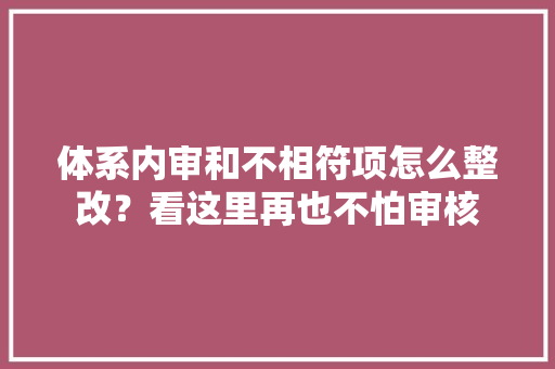 体系内审和不相符项怎么整改？看这里再也不怕审核 体系内审和不相符项怎么整改？看这里再也不怕审核 智能科技