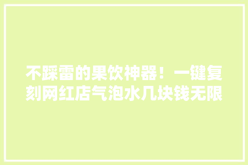 不踩雷的果饮神器！一键复刻网红店气泡水几块钱无限续杯