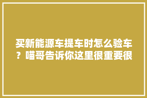买新能源车提车时怎么验车？喵哥告诉你这里很重要很多人都没验 买新能源车提车时怎么验车？喵哥告诉你这里很重要很多人都没验 互联通信
