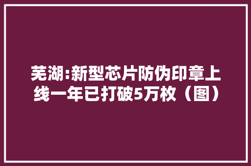 芜湖:新型芯片防伪印章上线一年已打破5万枚（图）