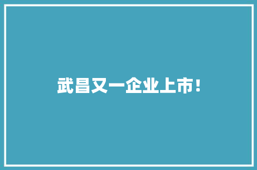 武昌又一企业上市！