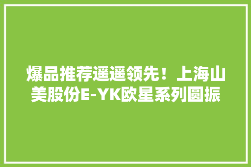 爆品推荐遥遥领先！上海山美股份E-YK欧星系列圆振动筛